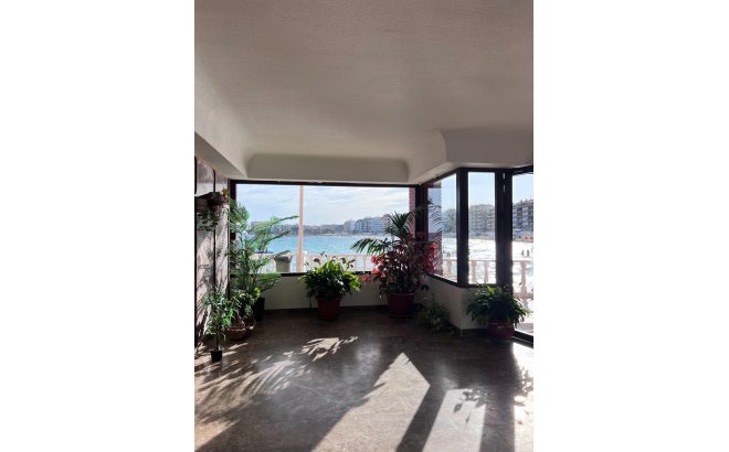 Revente - Appartement -
Torrevieja - Playa de los Locos