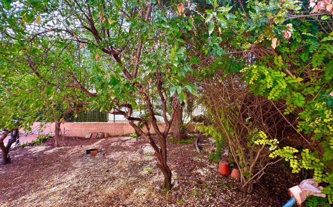 Resale - Villa -
Torrevieja - Los Balcones - Los Altos del Edén