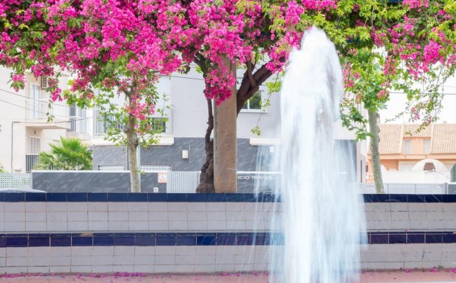 Resale - Apartment -
Torrevieja - Estacion De Autobuses