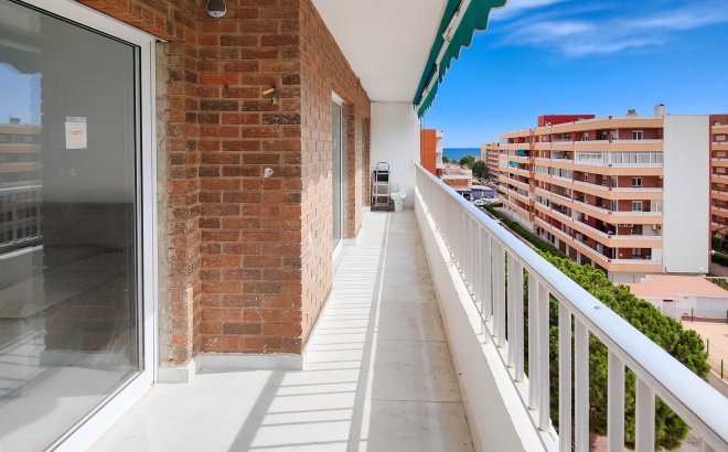 Revente - Appartement -
Torrevieja - Costa Blanca