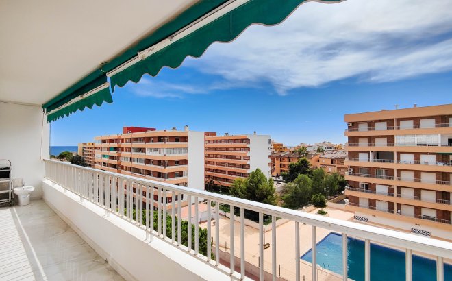 Revente - Appartement -
Torrevieja - Costa Blanca