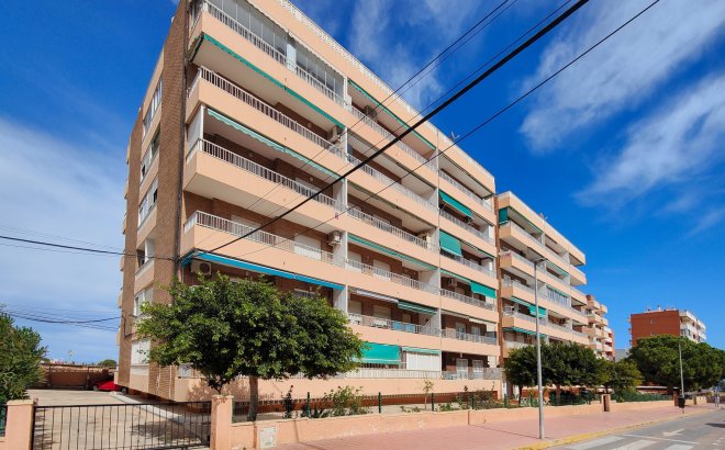 Revente - Appartement -
Torrevieja - Costa Blanca