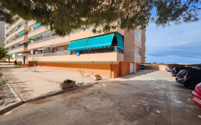 Revente - Appartement -
Torrevieja - Costa Blanca