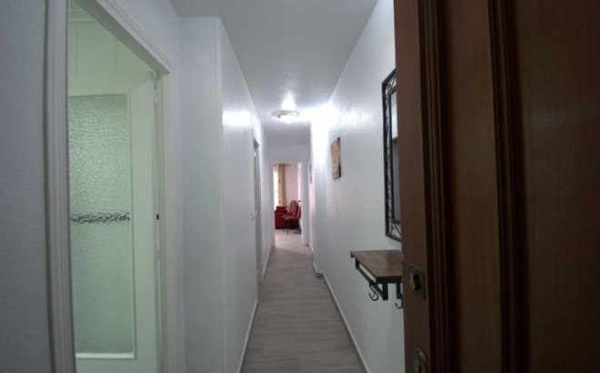 Resale - Apartment -
Torrevieja - Costa Blanca