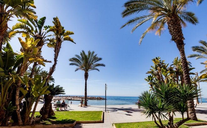 Resale - Apartment -
Torrevieja - Costa Blanca