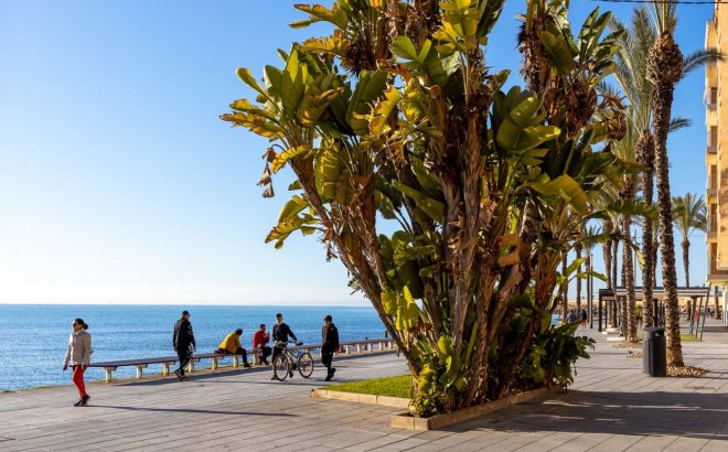 Resale - Apartment -
Torrevieja - Costa Blanca