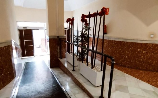 Revente - Appartement -
Torrevieja