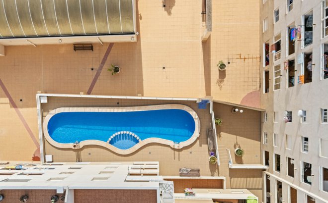 Resale - Apartment -
Torrevieja - Costa Blanca