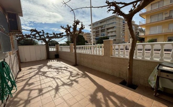 Resale - Bungalow -
Torrevieja - Costa Blanca