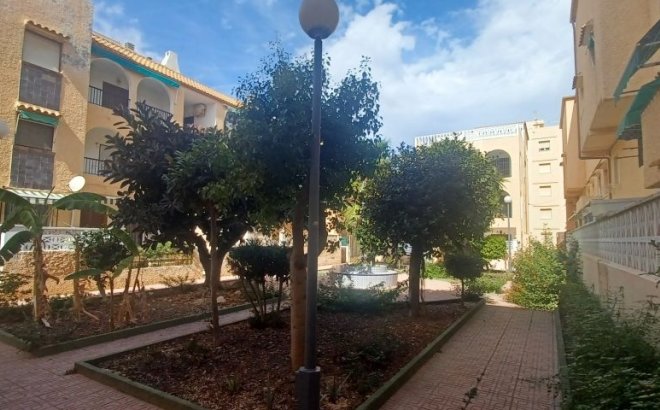 Resale - Bungalow -
Torrevieja - Costa Blanca