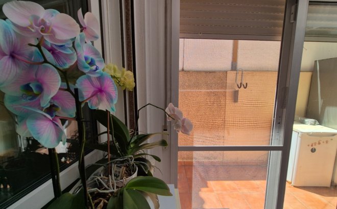 Resale - Town House -
Torrevieja - Costa Blanca