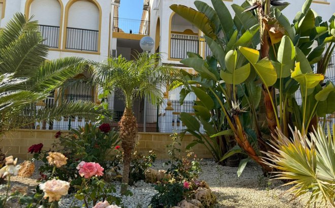 Herverkoop - Bungalow -
Torrevieja - Cañada Del Molino