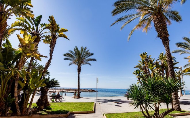 Resale - Apartment -
Torrevieja - Playa del Cura