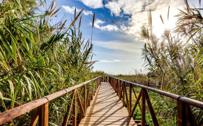 Resale - Apartment -
Torrevieja - La Mata