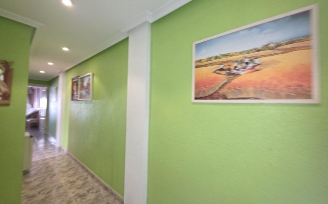 Resale - Apartment -
Torrevieja - Acequion