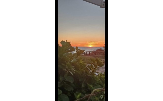 Resale - Bungalow -
Torrevieja - La Mata