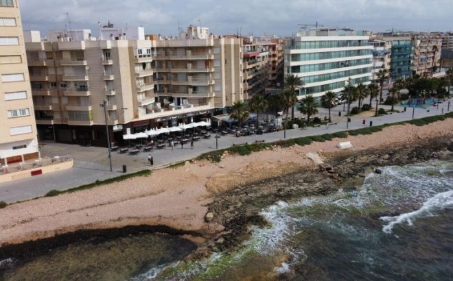 Revente - Appartement -
Torrevieja - Costa Blanca