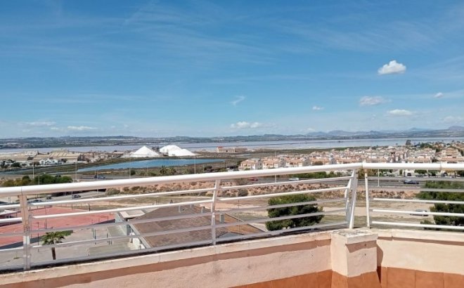 Resale - Apartment -
Torrevieja - Costa Blanca