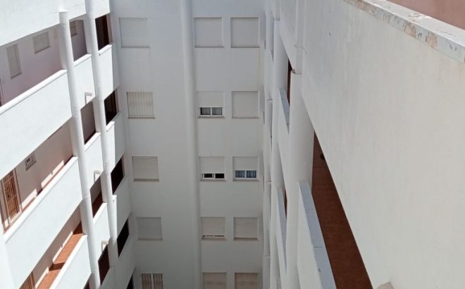 Resale - Apartment -
Torrevieja - Costa Blanca