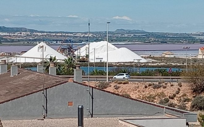 Resale - Apartment -
Torrevieja - Costa Blanca