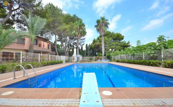 Resale - Villa -
Torrevieja - Los Balcones