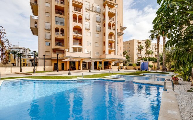 Resale - Apartment -
Torrevieja - Playa de los Locos
