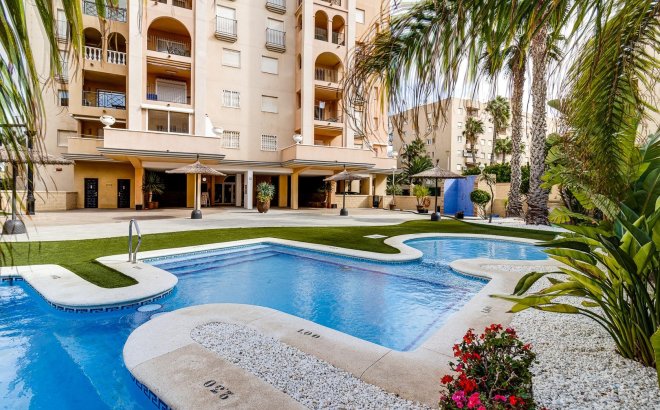 Resale - Apartment -
Torrevieja - Playa de los Locos