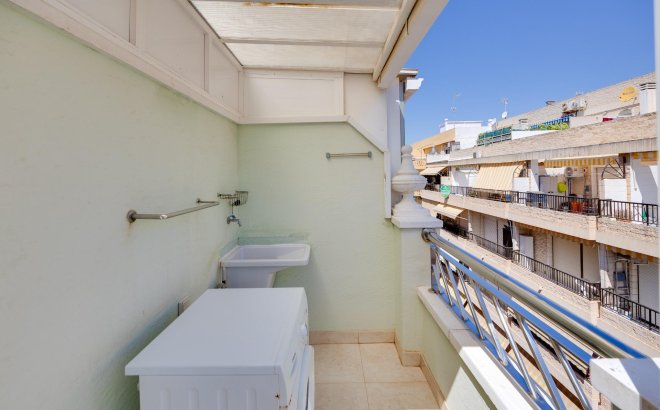 Resale - Apartment -
Torrevieja - Paseo Maritimo