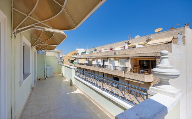 Resale - Apartment -
Torrevieja - Paseo Maritimo