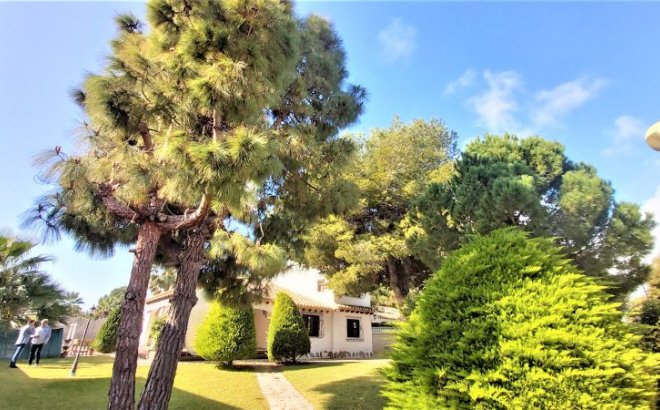 Resale - Villa -
Torrevieja - Costa Blanca