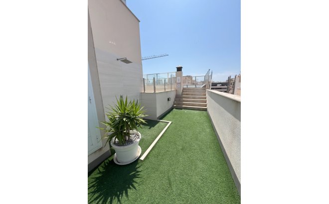 Resale - Apartment -
Torrevieja - Playa del Cura