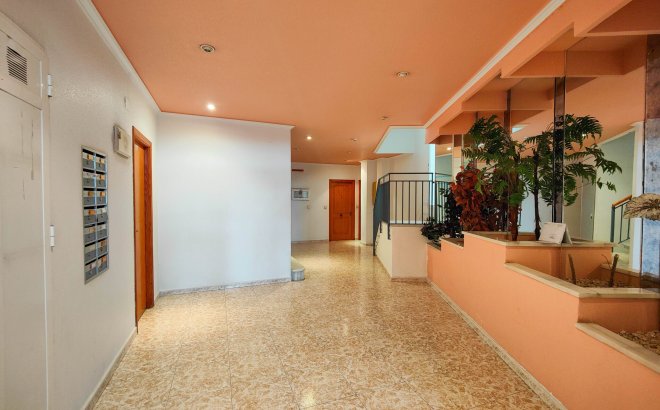 Resale - Apartment -
Torrevieja - Costa Blanca