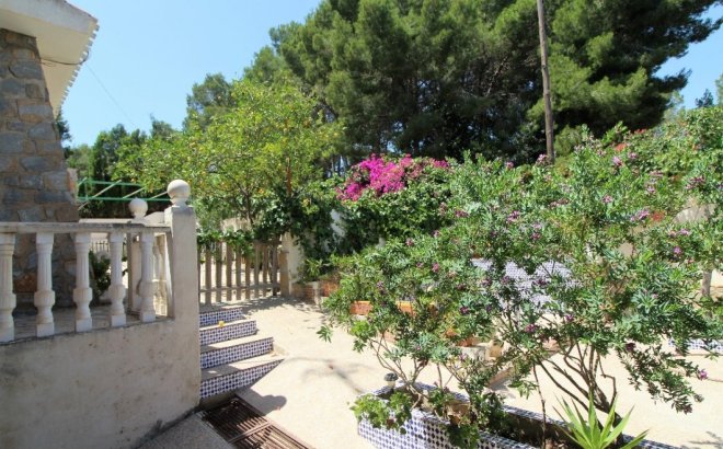 Resale - Villa -
Torrevieja - Los Balcones