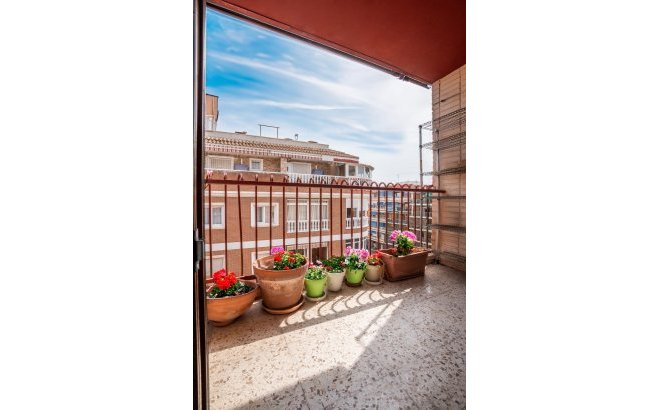 Revente - Appartement -
Torrevieja - El Acequión - Los Náufragos