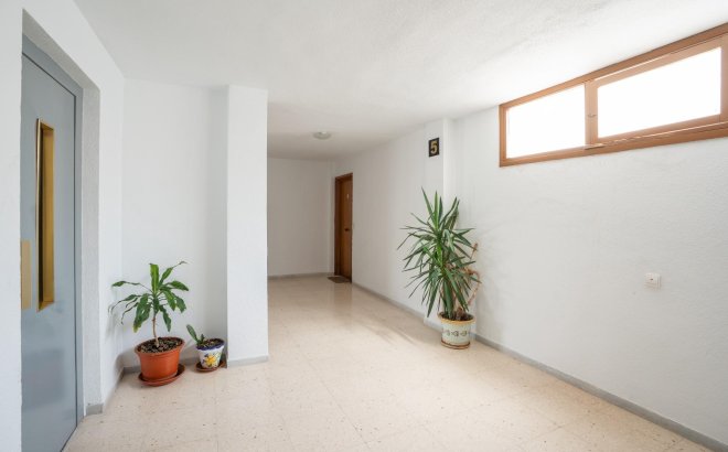 Revente - Appartement -
Torrevieja - El Acequión - Los Náufragos