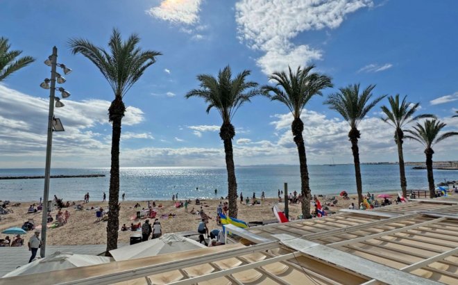 Revente - Appartement -
Torrevieja - Costa Blanca