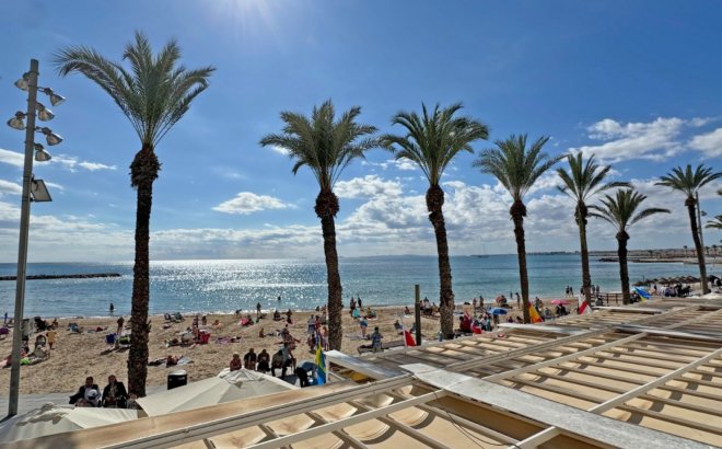 Revente - Appartement -
Torrevieja - Costa Blanca