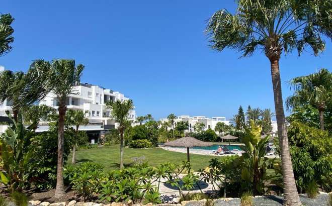 Resale - Penthouse -
Torrevieja - Punta Prima