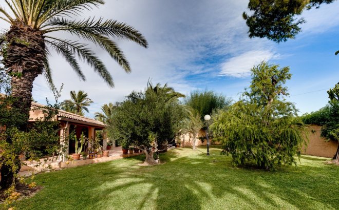 Resale - Villa -
Torrevieja - San Luis