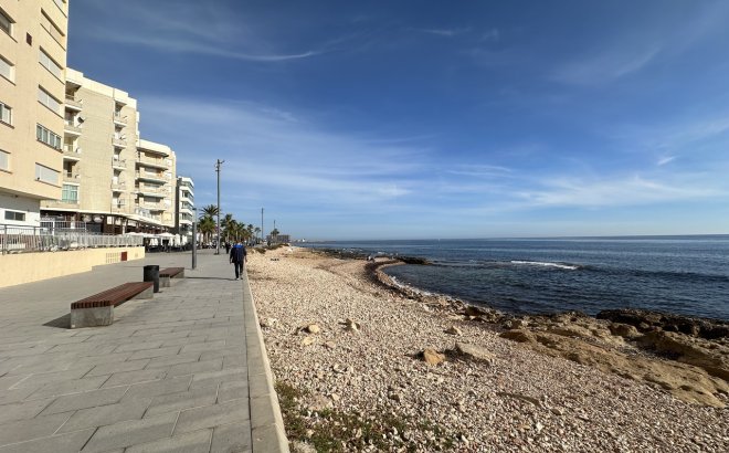 Resale - Apartment -
Torrevieja - Costa Blanca