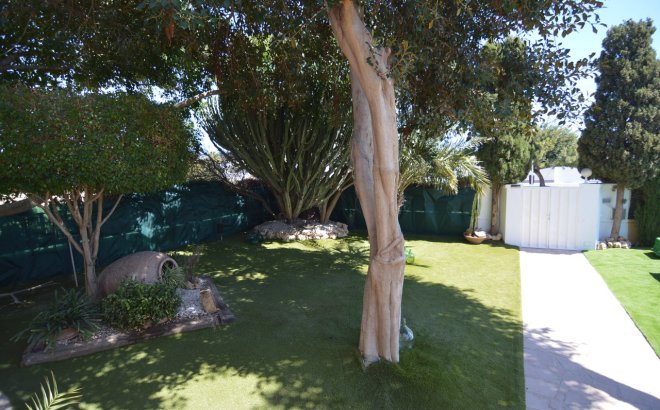 Resale - Villa -
Torrevieja - Costa Blanca