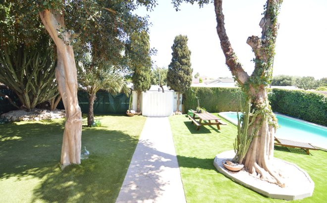 Resale - Villa -
Torrevieja - Costa Blanca