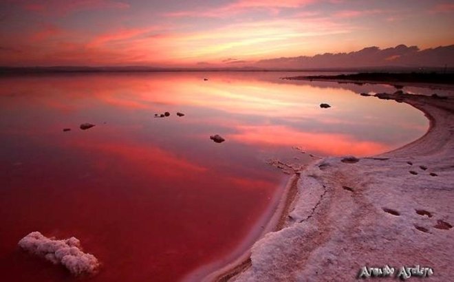 Resale - Dúplex -
Torrevieja - La Siesta