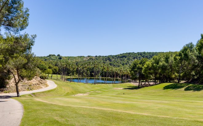 Resale - Bungalow -
San Miguel de Salinas - Inland