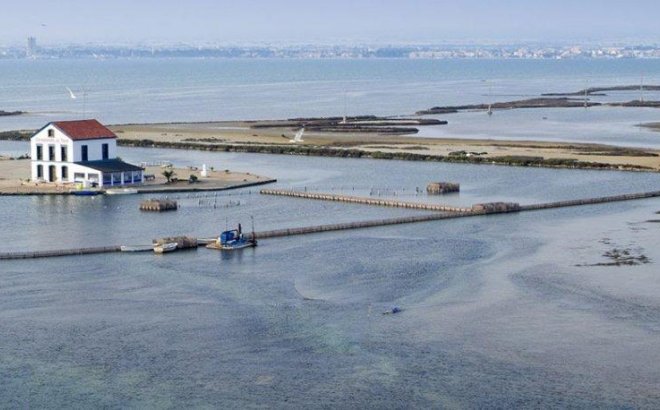 New Build - Villa -
San Pedro del Pinatar - Centro