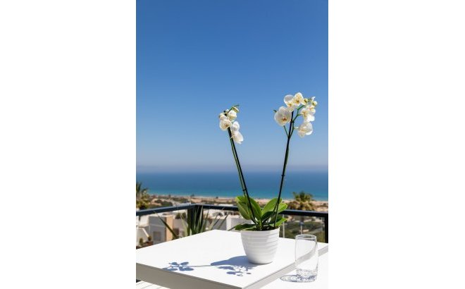 Nouvelle Construction - Appartement -
Santa Pola - Gran Alacant