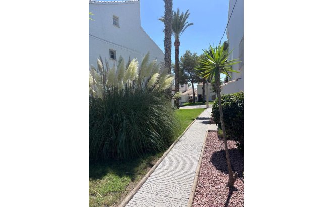 Resale - Apartment -
Los Dolses - Inland