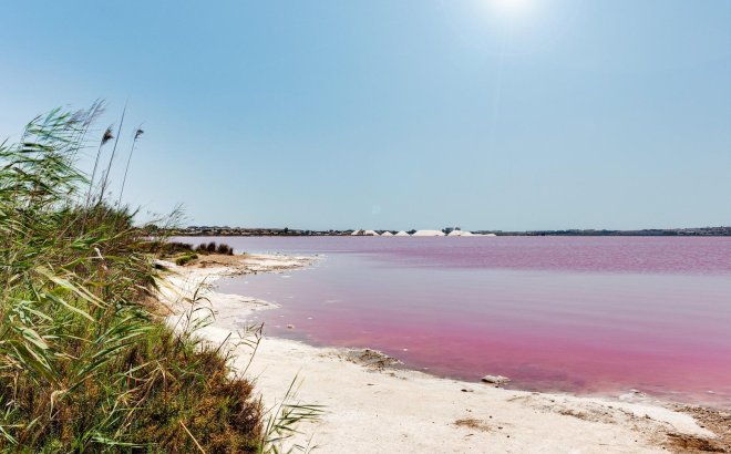 Resale - Town House -
Torrevieja - Paraje Natural