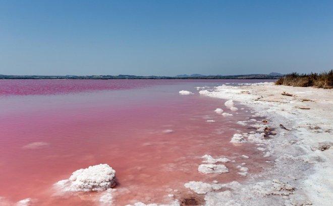 Resale - Town House -
Torrevieja - Paraje Natural