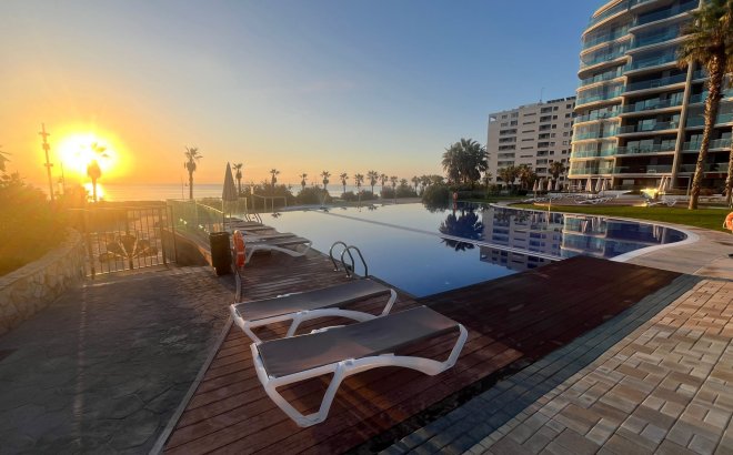 Revente - Appartement -
Punta Prima - Costa Blanca